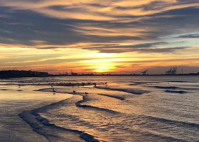 Ormille-sur-mer Διαμέρισμα Knokke-Heist